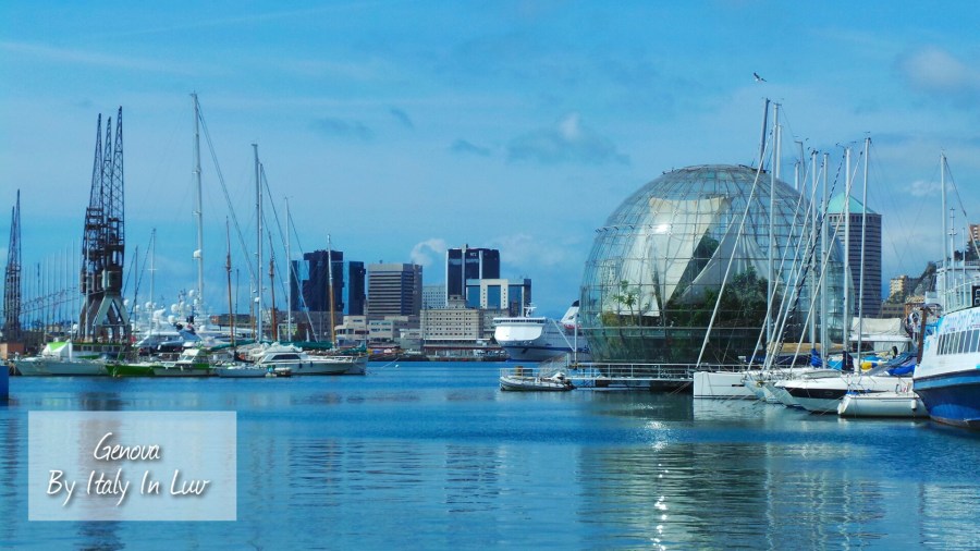 Processed with MOLDIV