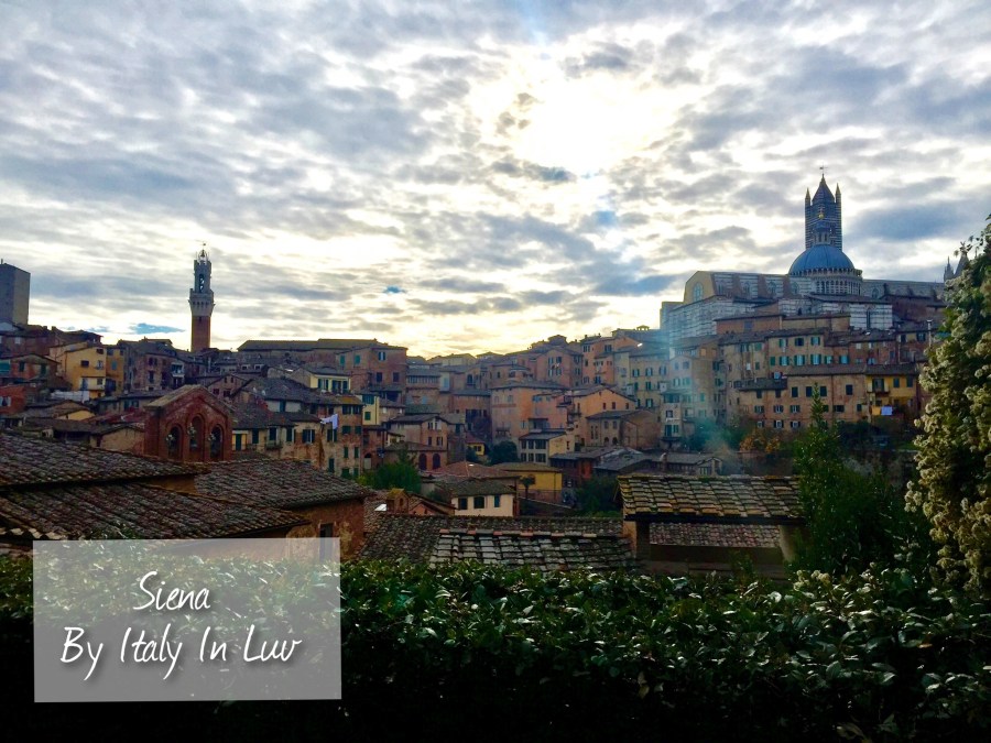 Processed with MOLDIV